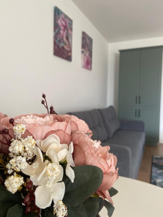 Focus Apartament Floreşti Exteriér fotografie